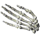 Bones giving Bone.gif (23943 bytes)